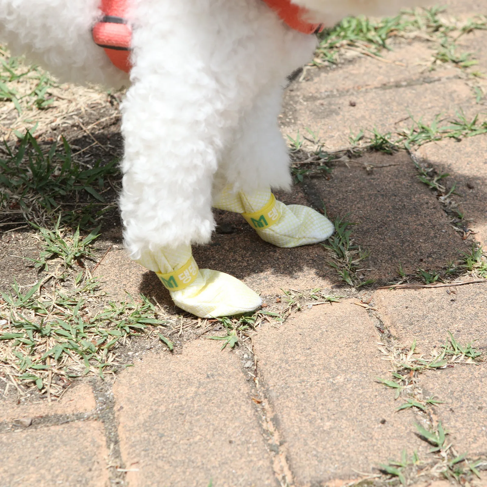 28pc Waterproof Non-Slip Dog Shoes, Breathable, Pink, Daeng Daeng