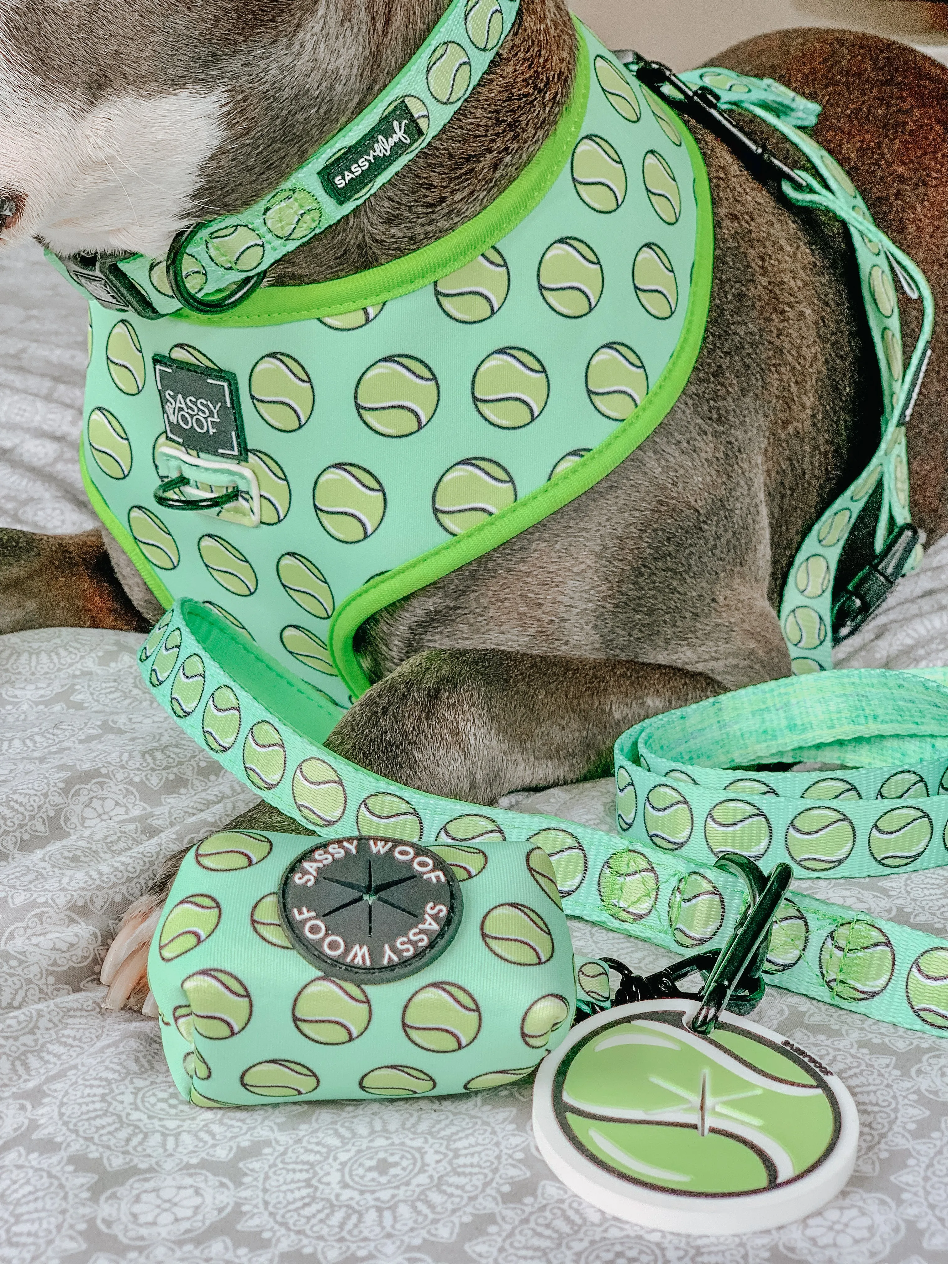 Dog Four Piece Bundle - Serving Up Sass