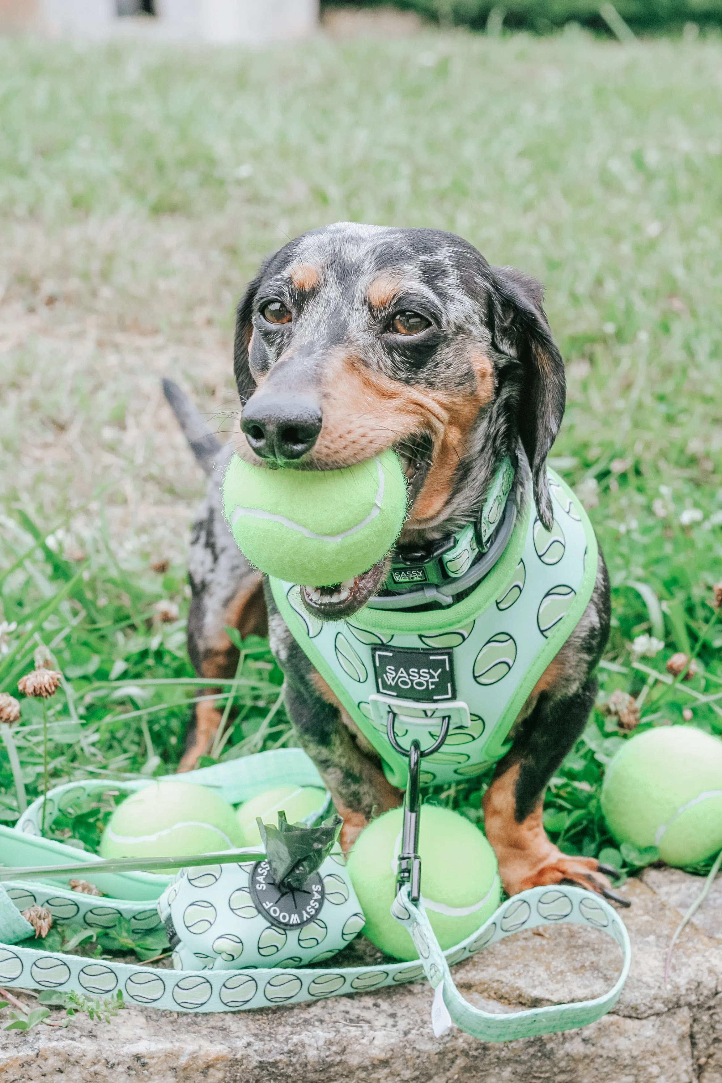 Dog Waste Bag Holder - Serving Up Sass