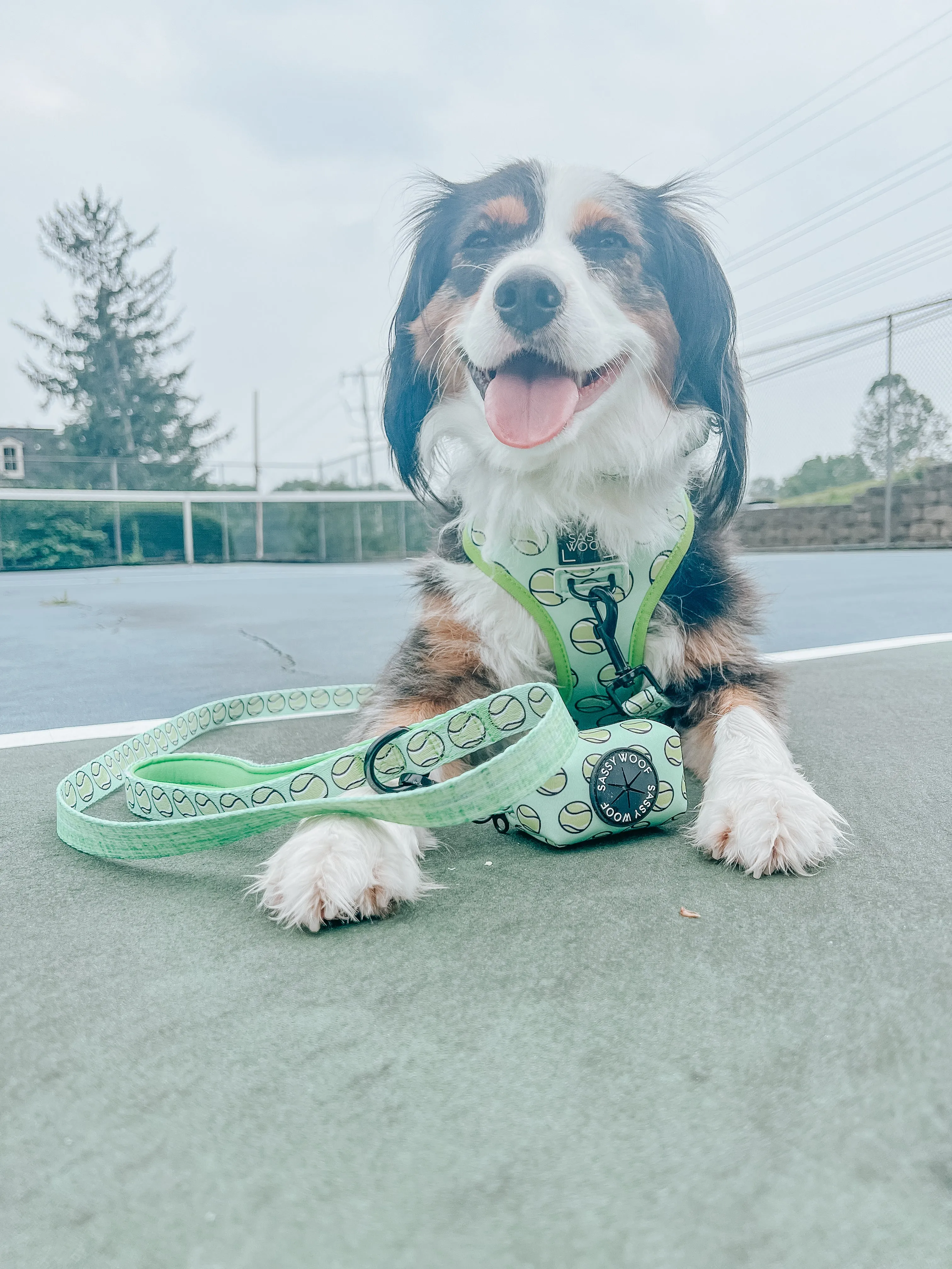 Dog Waste Bag Holder - Serving Up Sass