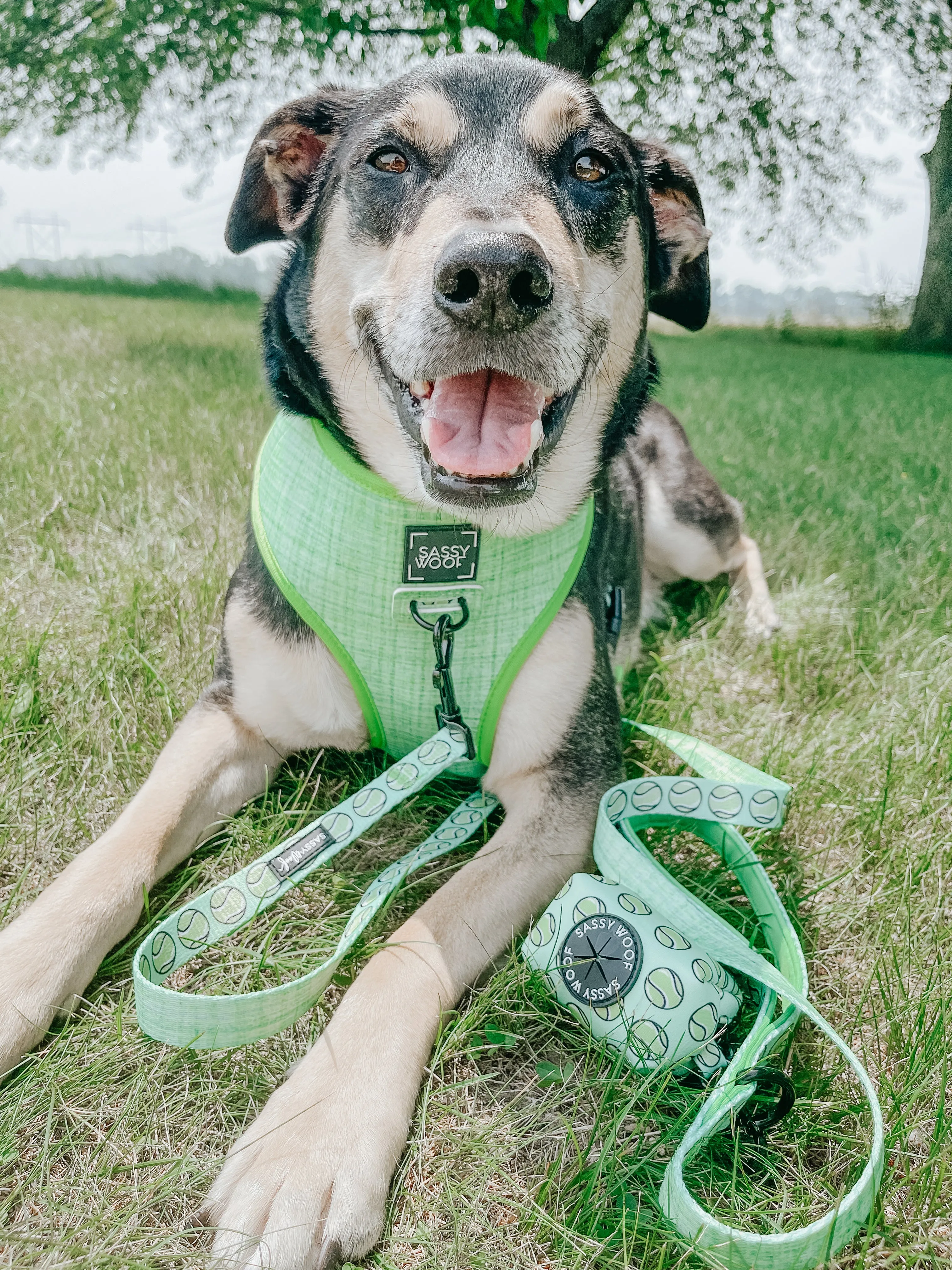 Dog Waste Bag Holder - Serving Up Sass