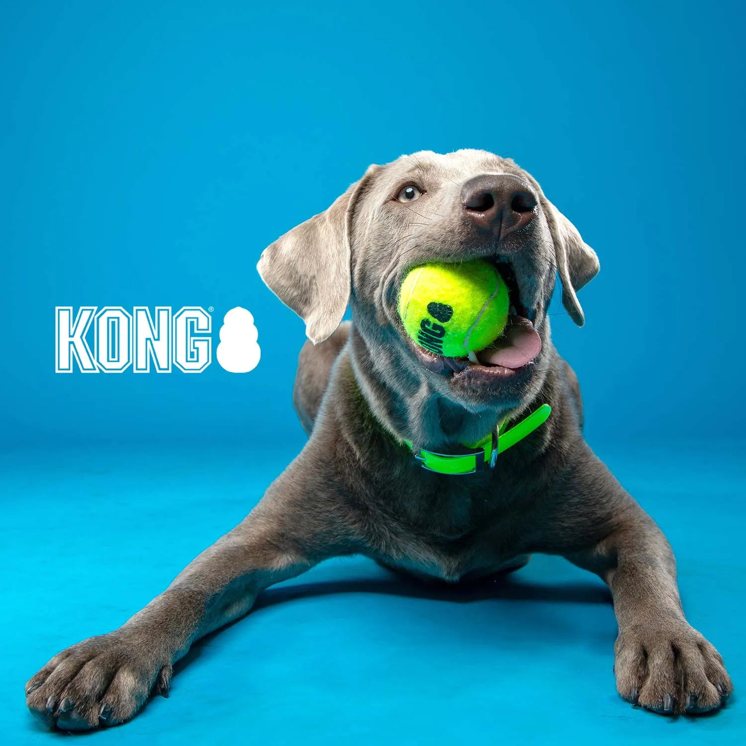 KONG SqueakAir Tennis Ball