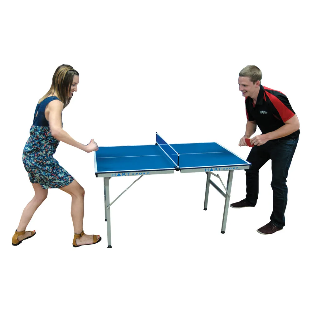 Mini Table Tennis Table