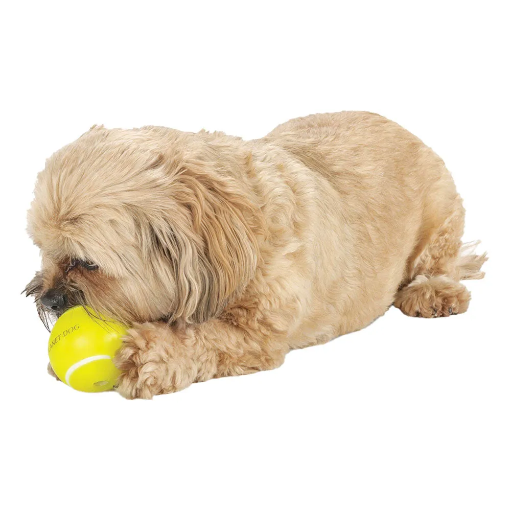 Planet Dog Orbee-Tuff Tennis Ball