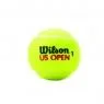 US OPEN TENNIS BALL (4 Pack)